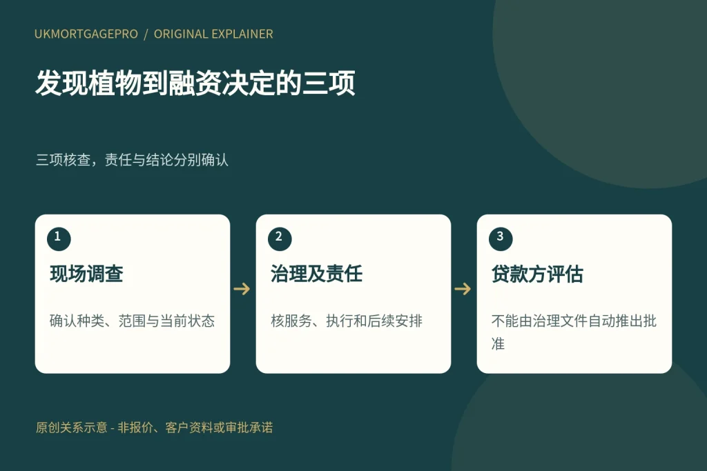 发现植物到融资决定的三项:现场调查、治理及责任、贷款方评估